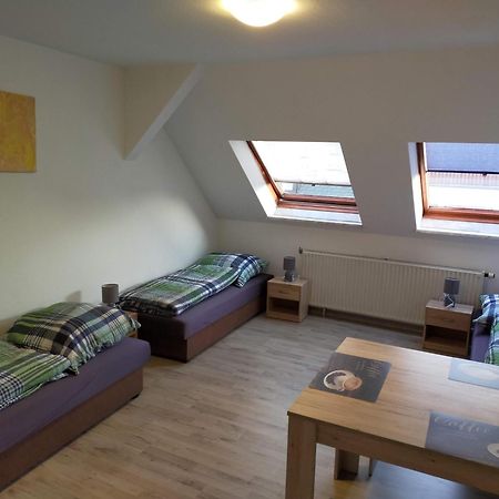 Flex Aparts - Grosse, Moeblierte Wohnung In Zwickau Mit 2 Zimmern Buitenkant foto